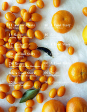 Load image into Gallery viewer, The Origin Story Vol.1